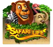 Safari Life