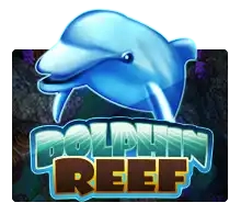 Dolphin Reef